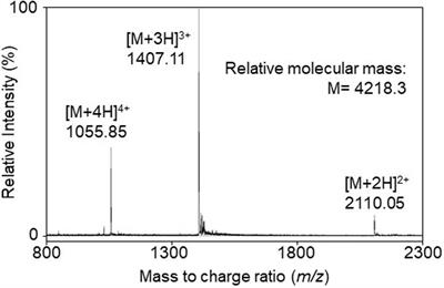 Kunkecin A, a New Nisin Variant Bacteriocin Produced by the Fructophilic Lactic Acid Bacterium, Apilactobacillus kunkeei FF30-6 Isolated From Honey Bees